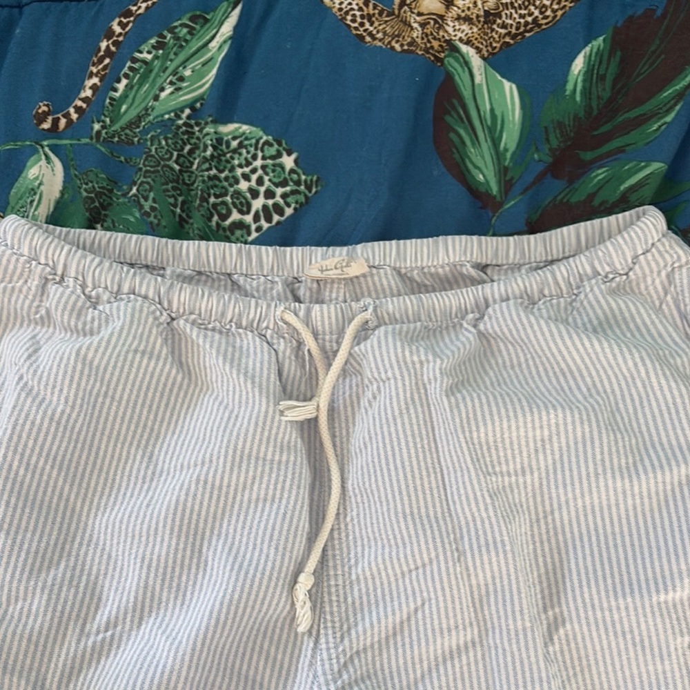 Brandy Melville Blue and White Striped Pants